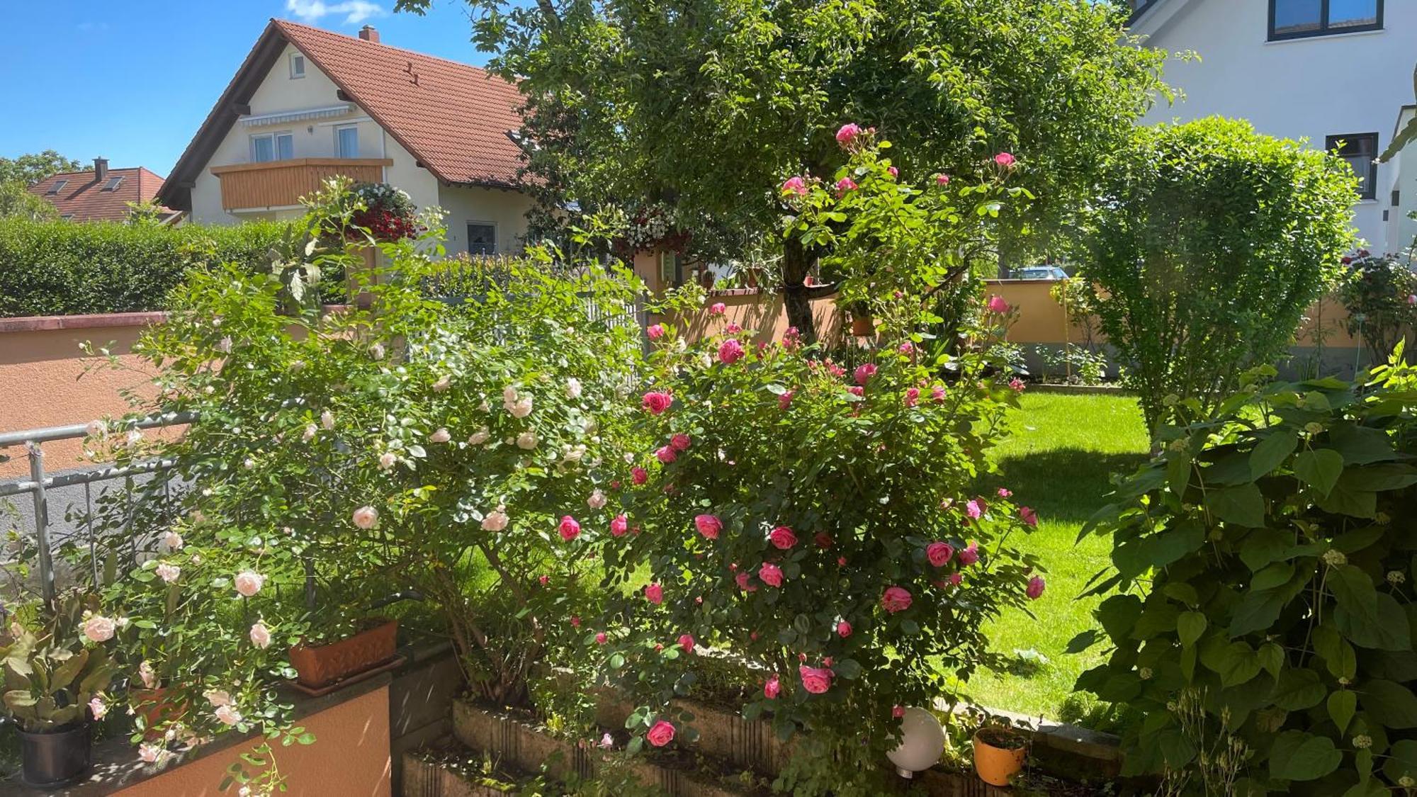 Ferienwohnung Am Eck Rust Exterior photo